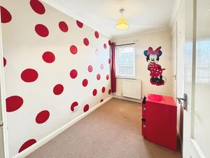 SPRING CHASE- click for photo gallery